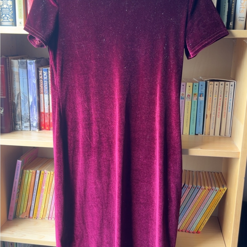 Elegant Velvet Short Sleeve Dress